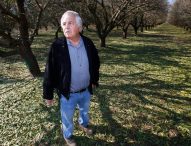 Valley farmers now see drought as rule, not exception: ‘There is a real fear out there’