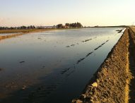 Terranova Ranch, Not Sitting Still