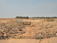 Flooding California Farmlands Might Restore Groundwater