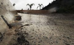California farmers use floodwater to replenish aquifers