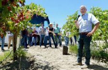 Westside farmer who puts his fields underwater is named the Agriculturist of the Year