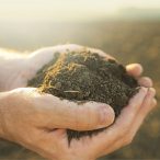 Creating the 2050 Food Systems for Future Generations