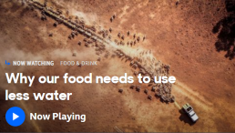 Why our food needs to use less water