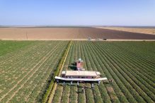 California’s ‘Cantaloupe Center’ struggles to reign supreme as drought pummels agriculture across the West