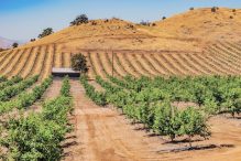 The deceptively simple plan to replenish California’s groundwater