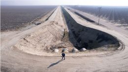 California farmers flood their fields in order to save them
