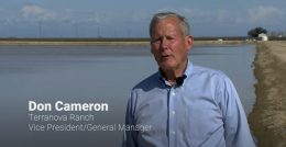 Redirecting Water From Intense Storms to Recharge Groundwater Basins Helps Protect Life, Property